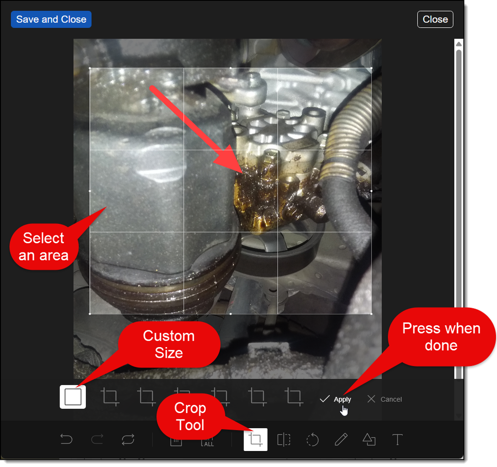 Crop tool cropping an inspection photo in RSS DVI