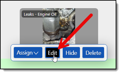 Edit button under an inspection photo in RSS DVI